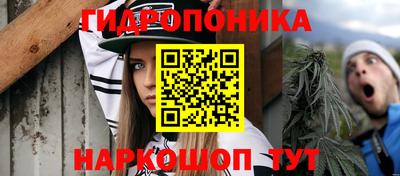 PSILOCYBIN Пугачёв